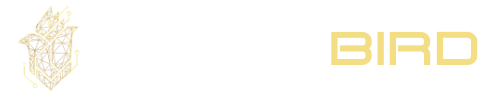 Black Bird Agency